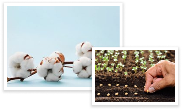 intellectual property